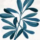Blue Leaf in Watercolor Serenity II Art Print