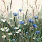 Wildflower Meadow in Bloom Art Print
