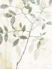 Branches in Soft Focus Canvas Art Print
