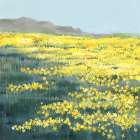 Field of Golden Blossoms Art Print