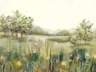 Lush Meadow in Morning Light Art Deco Print