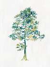 Solitary Tree I Art Print