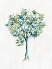 Solitary Tree II Art Print