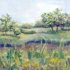Tranquil Meadow in Sunlight Art Print