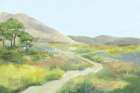 Path Through Serene Landscape Art Print