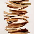 Earthy Waves in Motion Art Print
