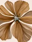 Organic Flow in Earth Tones I Art Print