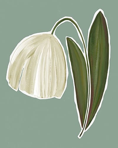 Gentle Bloom on Green Canvas Art Print