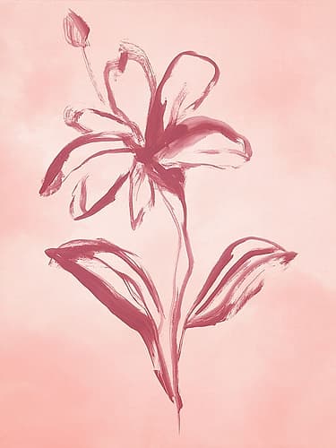Delicate Blossom on Soft Canvas I Art Print