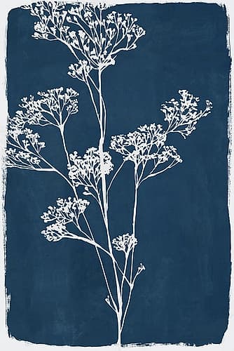 White Branches on Deep Blue II Art Print