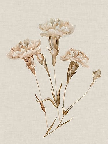 Delicate Blooms on Linen Canvas II Art déco reproduction