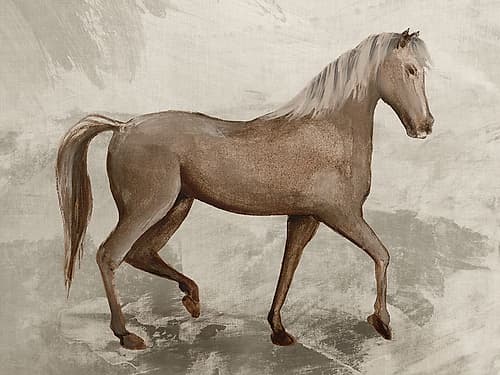 Graceful Horse in Motion I Art Print