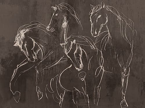 Dynamic Motion of Graceful Horses Minimaliste reproduction