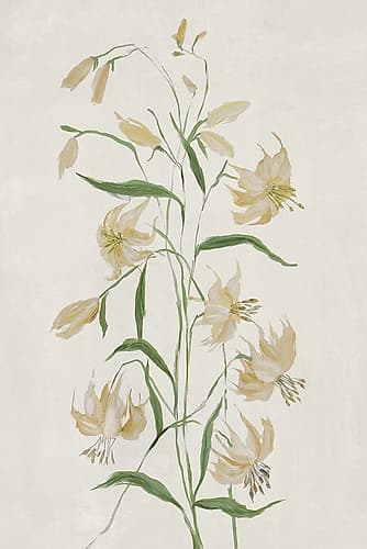 Yellow Blossoms on Pale Canvas Art Print