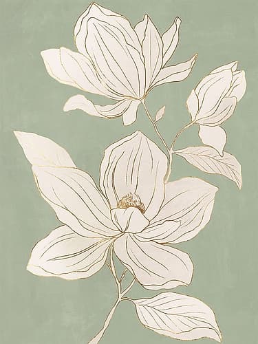 Delicate Magnolia on Sage Background I Art Print