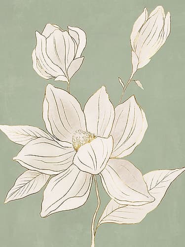 Delicate Magnolia on Sage Background II Art Print