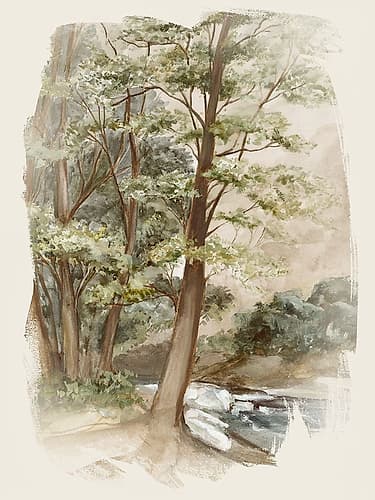 Tranquil Forest Stream Impressionniste reproduction