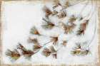 Golden Pine Braches III Botanical Print