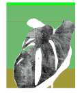 Tropic Green Art Print