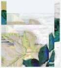 Floridian Dream I Botanical Print