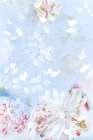 Blossoming Blue II Art Print