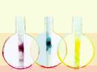 Fresh Urns II Art Print