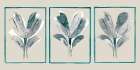 Three Botanicals II Art Print