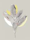 Yellow Botanic II Art Print