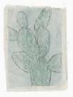 Cactus Sketch I Art Print