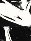 Black And White II Art Print
