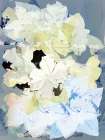 Spring Calls II Art Print
