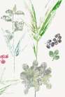 Overlapping Leaves I Art Print