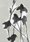 Blue Grey Florals II Art Print