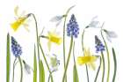 Spring Art Print
