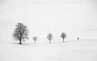 Return as always Art Print by Peter Svoboda