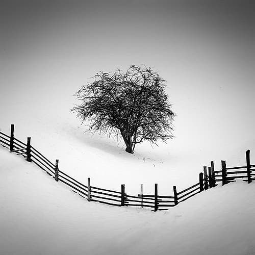 Trapped Landscape Print