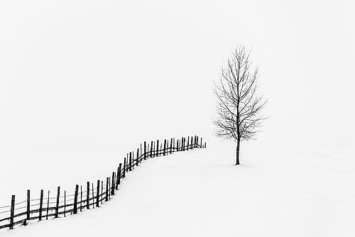 Silence Landscape Print