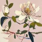 Natural Simplicity II Art Print
