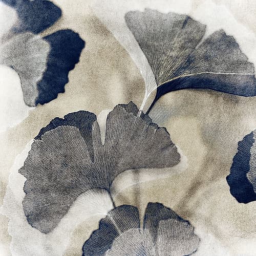 Blooming I Art Print