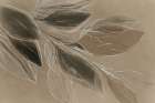 Flowing Leaves on Earthy Canvas Art Print