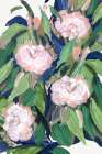 Pink Gardens Art Print
