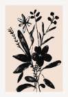 Les fleurs du Monde III Art Print