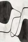 Flowing Lines and Shadows Dance Art Print