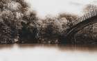 Dreams Art Print