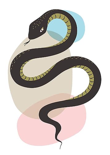 Snake Art Print by Ayse