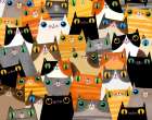 Assorted Cats Art Print
