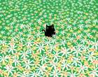 Black Cat in Flower Field Art Print