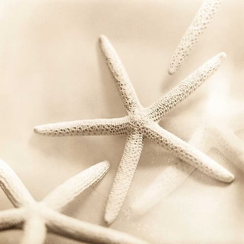 Il Oceano No. 2 Coastal Print