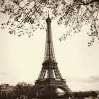 Tour Eiffel Art Print