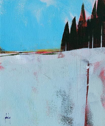 Snow Field Art Print by Paul Bailey
